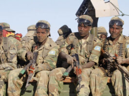 Somali Forces Kill Two Al-Shabaab Militants in Bay Region Operation