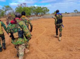 Somali commandos conduct operations against Al-Shabaab in Lower Shabelle