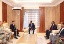 Somali president meets with US officials amid ongoing military offensive