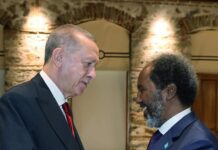 Erdoğan, Somalia’s Mohamud discuss ties, regional issues