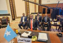 Soomaaliya oo ka qayb-gashay shirka golaha cadaaladda Jaamacadda Carabta