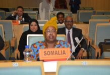 Soomaaliya oo shirweyne caalami ah uga qayb-gashay Addis Ababa + Sawirro