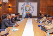 Somali president chairs meeting on fight against Al-Shabaab