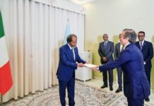Somali President receives credentials from new Italian ambassador
