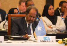Transforming Somalia’s Destiny: President Hassan Sheikh Mohamud’s Trailblazing Achievements