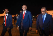 Sawirro: Ra’iisul wasaaraha Soomaaliya oo gaaray dalka Jabuuti + Ujeedka