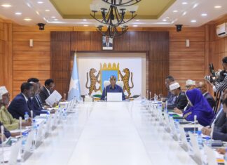 Somalia Cabinet approves plan to implement new constitution