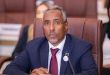 Somalia’s FM hails full lift of the longstanding UN arms embargo