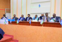 Toos:- Doorashada Madaxwaynaha iyo Madaxwayne Ku xigeenka Puntland