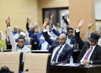 Somalia Senate Approves Revenue Authority Bill and Two Constitutional Commission Members