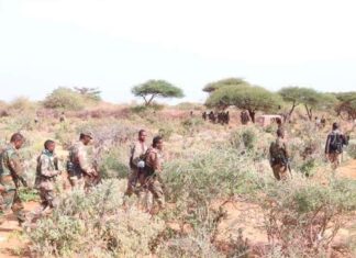 Somali Forces Target Al-Shabaab Hideouts in Bay, Militant Surrenders