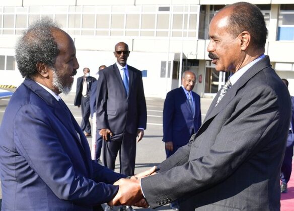 Somali president wraps up his two-day working visit to Eritrea ...