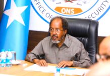 Somali president convenes security meeting amid Al-Shabaab war