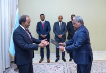 New Kenyan Ambassador presents his diplomatic Credentials to Somali President