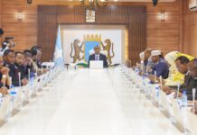 Somali cabinet endorses defense cooperation pact with Turkey