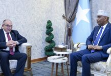 Somali PM bids farewell to outgoing Turkish ambassador