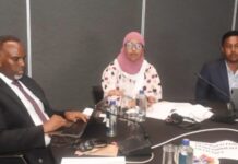 Soomaaliya oo shir caalami ah uga qayb-gashay magaalada Nairobi