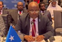 Daa’uud Aweys oo khudbad ka jeediyay shirka wasiirada warfaafinta dalalka OIC
