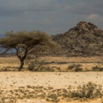 image-somalia-pr