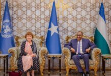 UN envoy and Puntland President discussed ways to reduce Somalia’s political tensions