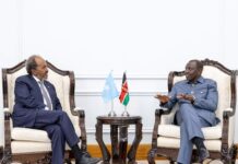 Kenya and Somalia agree to Combat Terrorism and Insecurity