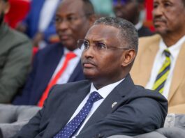 Taliyaha NISA Oo Gaaray Dhuusamareeb Xilli La Filayo Doorashooyinka Qof iyo Codka Ah