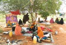 Ku dhawaad 80 qof oo shuban-biyood ku dilay Soomaaliya