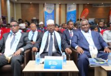 Somali diaspora is a backbone for reviving the Somali economy – FM Fiqi