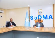 SoDMA Takes Action to End Cash Programs for IDPs and Enhance Vocational Training