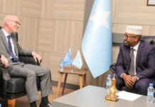 Somali Minister of Foreign Affairs Meets New UN Special Representative for Somalia