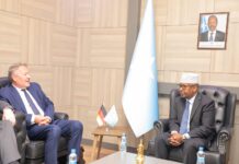 Somalia and Germany Discuss Strengthening Bilateral Ties and New Cooperation Opportunities