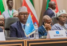 Somali foreign minister attends OIC Conference