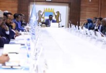 Somalia’s Cabinet Discusses Defense Agreement with Kenya