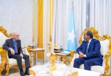 James Swan Meets Somali President: Strengthening Ties for Peace and Development