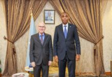 Somali PM and UN Special Representative Discuss Enhanced Collaboration for Somalia