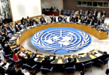 UN Security Council warns Israel’s Somaliland move risks regional fallout