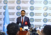 Somali Finance Minister Highlights Significant Domestic Revenue Growth in 2024