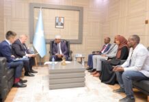 Somali Minister of Foreign Affairs Meets with Russian Ambassador
