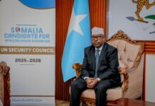 Somalia seeks Non-permanent UN security council Seat
