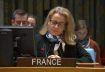 France proposed an international plan to weaken the power of Al-Shabaab