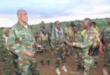 Explosion Claims Lives of Somali Army Commander and Soldiers in Southwest state