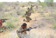 Ciidamada Koonfur Galbeed oo howlgal ku dilay xubno ka tirsanaa Al-Shabaab