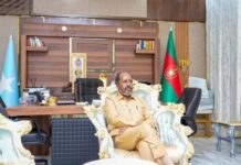 Somalia Secures Seat at UN Security Council, President Mohamud Expresses Gratitude and Optimism