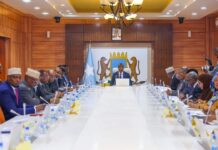 Somali Cabinet discusses exit of African Union troops by Dec. 2024