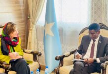 Somali Minister of Internal Security Meets with EU Delegation to Discuss Key Issues