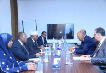 Egypt, Somalia FMs agree on need to support peace and stability in Horn of Africa