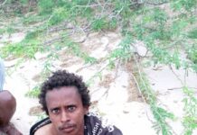 Yemeni National Linked to Al-Shabaab Arrested in Central Somalia