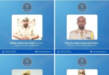 Somali President Establishes Four New Specialized Commands for the Army