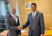 IOM Somalia: Collaborating for Stabilization, Migration Management, and Security