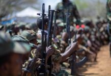 Somali Govt announces killing of senior Al-Shabaab leaders in air and ground operations in Bariire